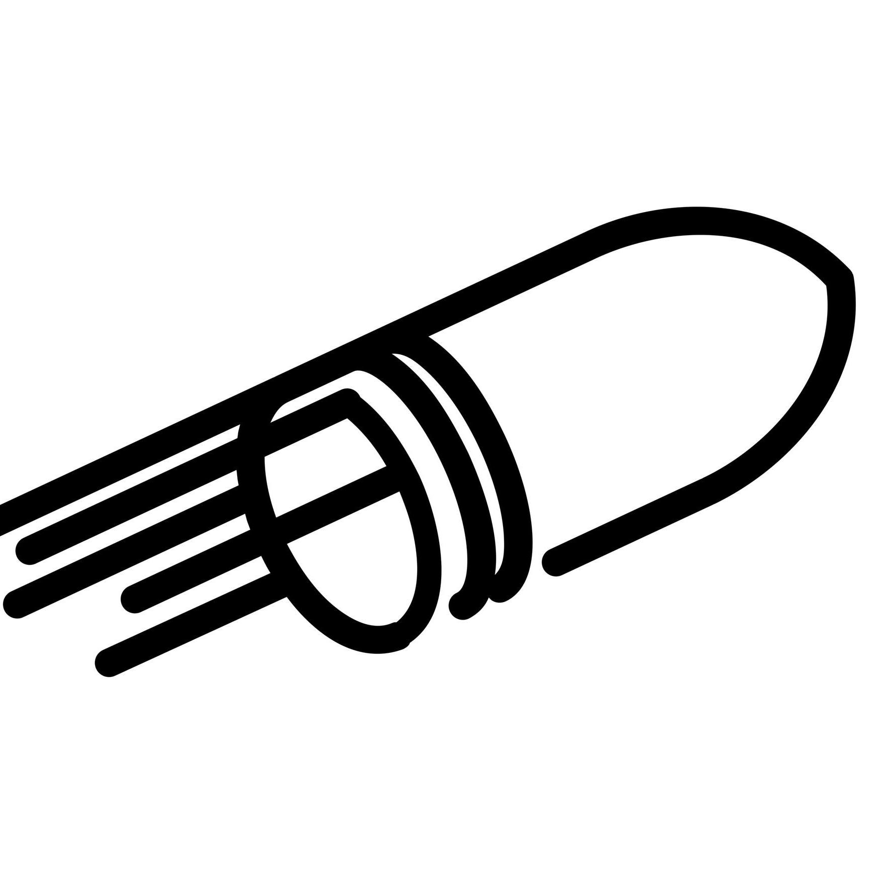 Partner 5
